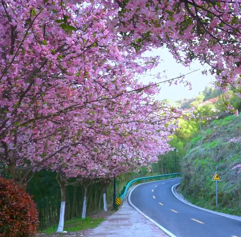 【山水好时光 周末到安康】安康周末游玩攻略来了!