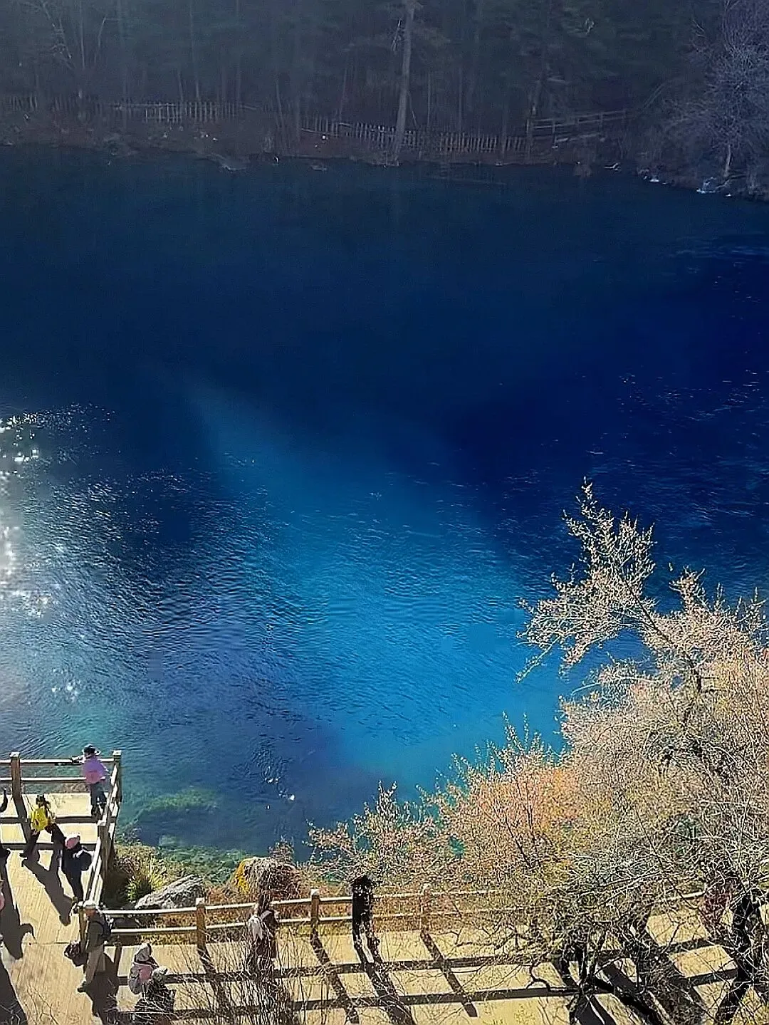 九寨沟中老年慢旅游指南,五一不踩坑,端午康养正当时