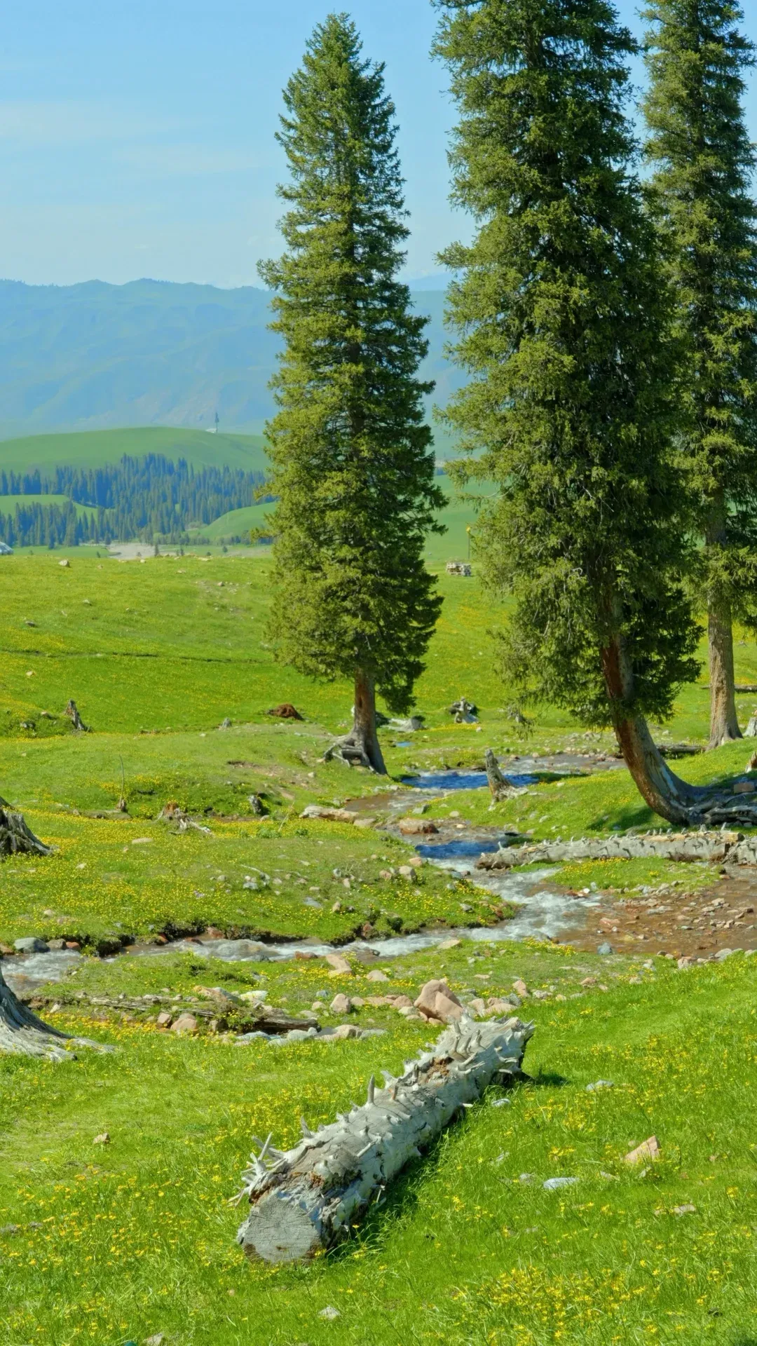 四五月到新疆游玩 伊犁七日轻松游玩指南