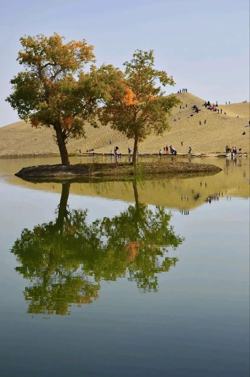 新疆巴音郭楞旅游攻略|草原、沙漠、湖泊、胡杨林,一次看遍新疆之美