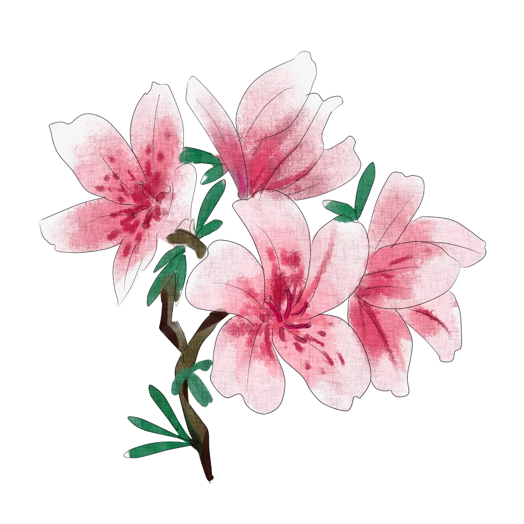 四月顶流!杭州植物园杜鹃花展开幕!赏花游玩全攻略戳这里~