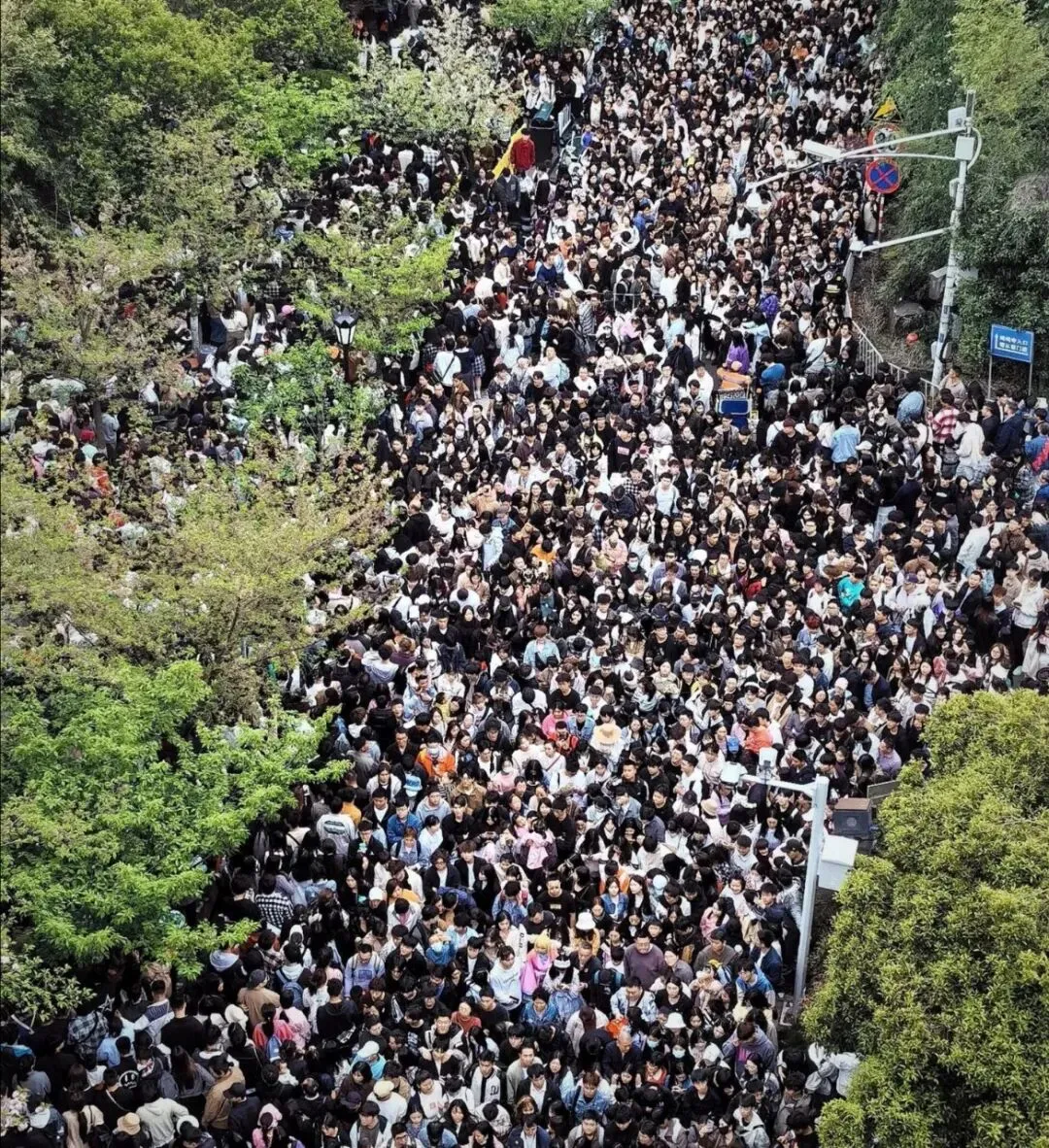 五一出游必看!热门景区“避坑指南”,别再花冤枉钱、遭冤枉罪!