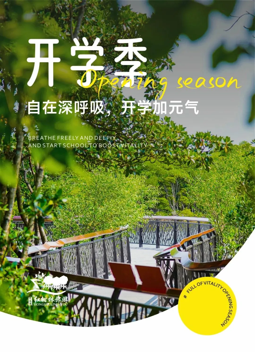 开学季!红树林周末游玩攻略给新学期加元气!