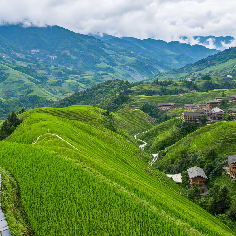 龙脊梯田游玩攻略(龙脊梯田开车能进去吗)