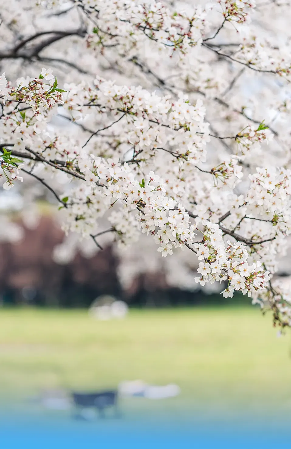 华蓥山旅行攻略|川东秘境,红岩石林,四季皆可游
