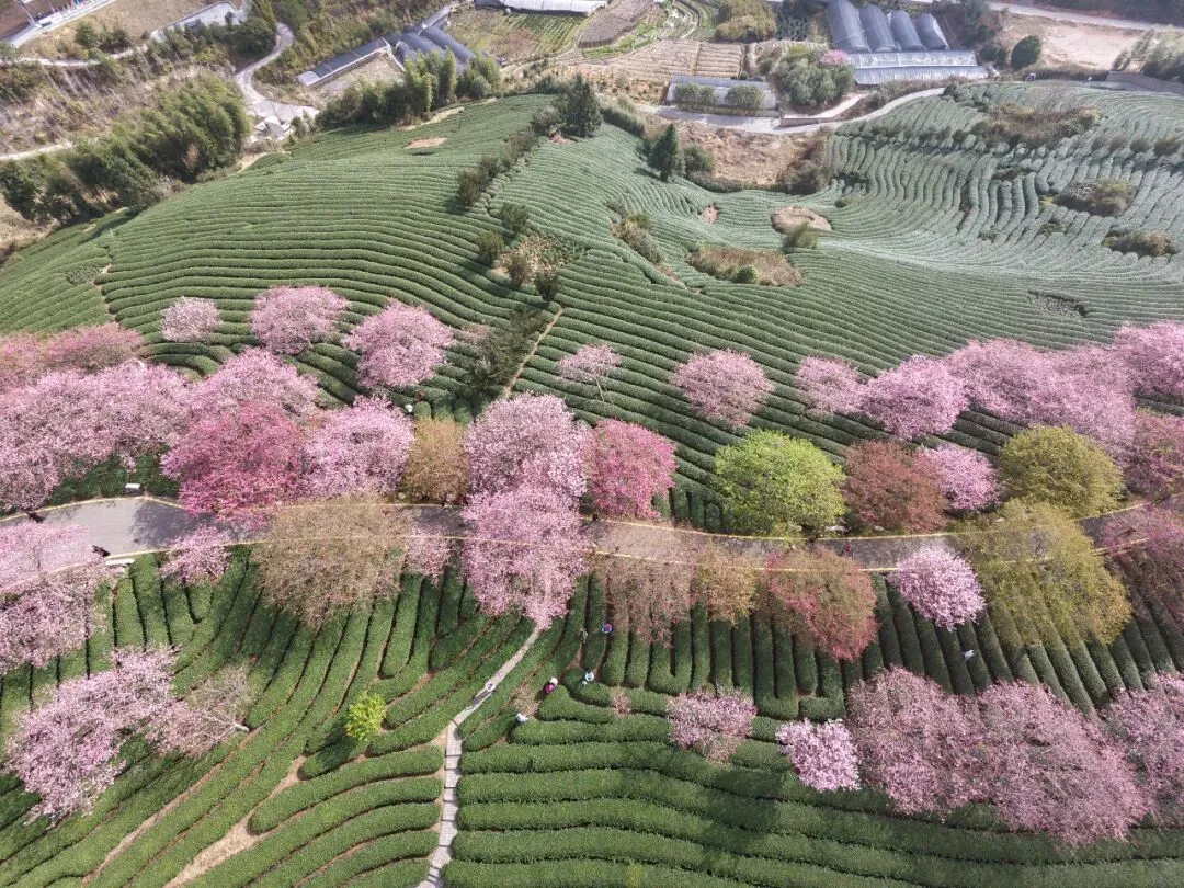 湘赣闽粤15天自由行攻略