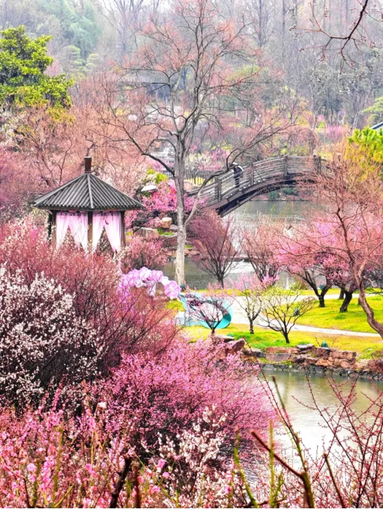 扬州周末两天一夜攻略|景点美食住宿一篇搞定