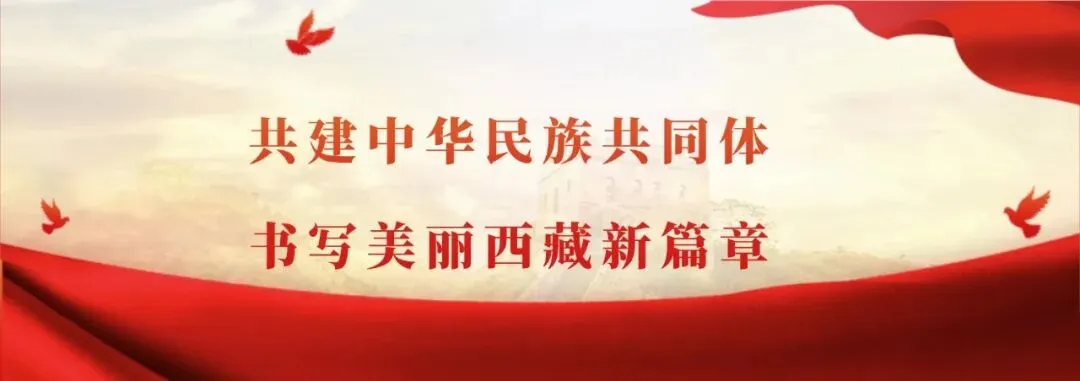 珠峰文化旅游创意产业园区“十五五”规划专家咨询座谈会召开
