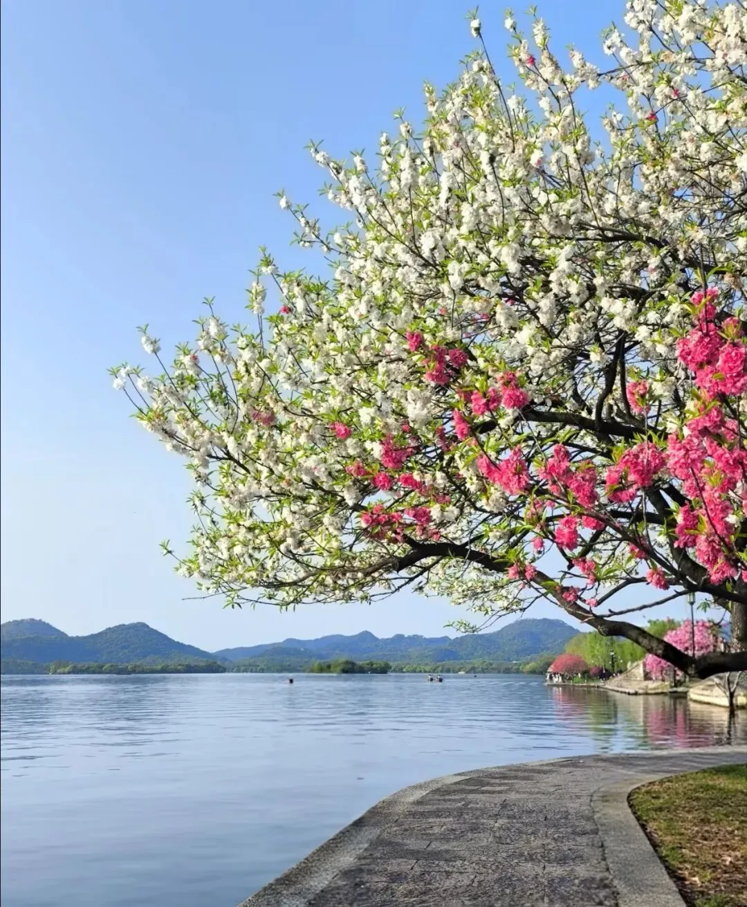 强烈建议!5月江浙沪自驾游攻略,这6条路线美景无敌,周末直接走起!