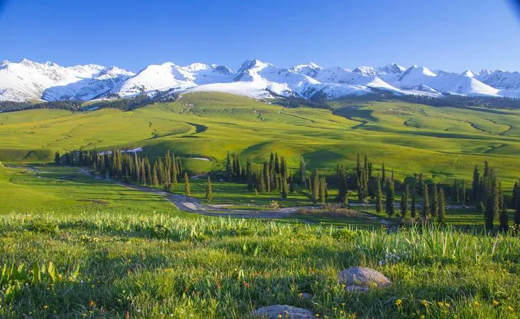 新疆伊犁旅行“全攻略”,这一篇足够