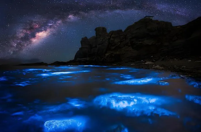 秀山岛蓝眼泪两天一夜旅游攻略(亲子版)