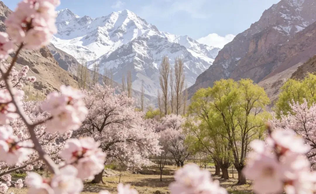 不挤、不贵、不撞款!大学生专属新疆反向旅行指南