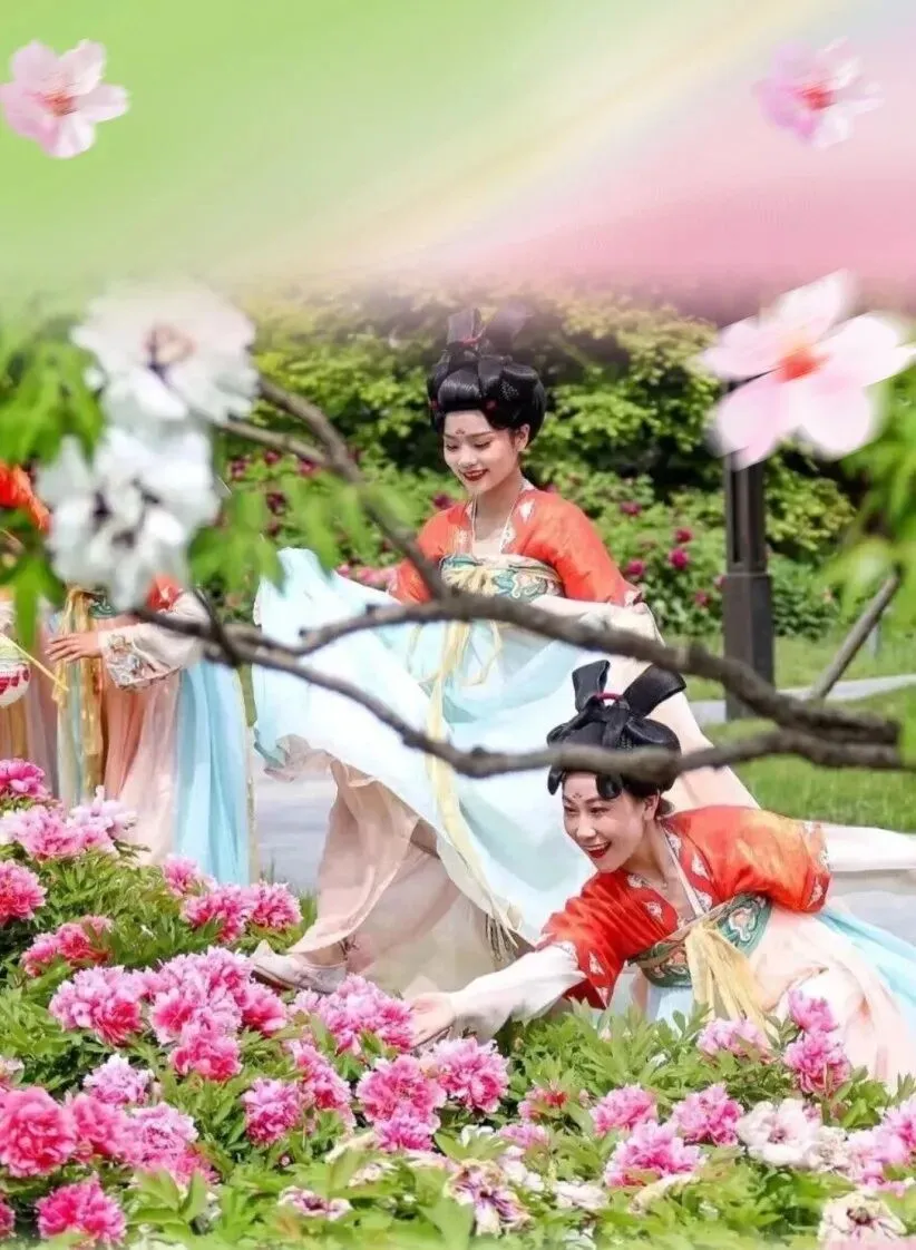 牡丹文化节旅游攻略,第43届中国洛阳牡丹文化节,春日盛宴于4月1日至4月30日倾情绽放