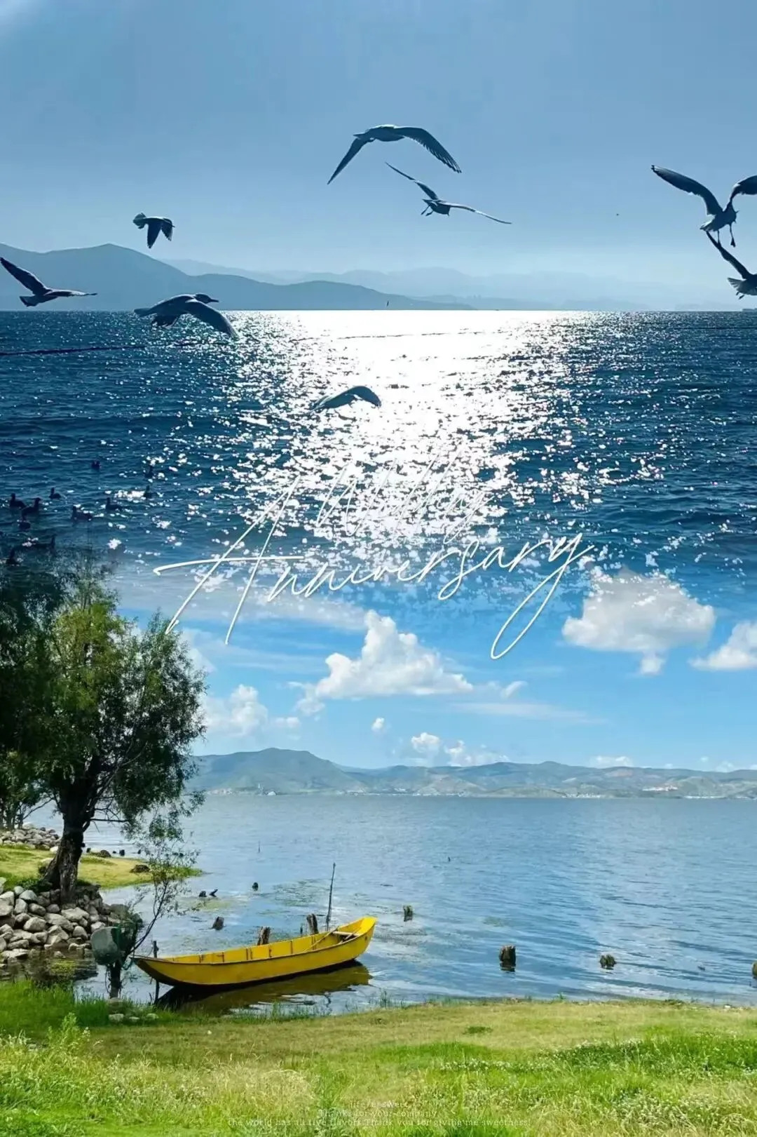 云南旅游8天7晚攻略:热门线路推荐,最新避坑指南