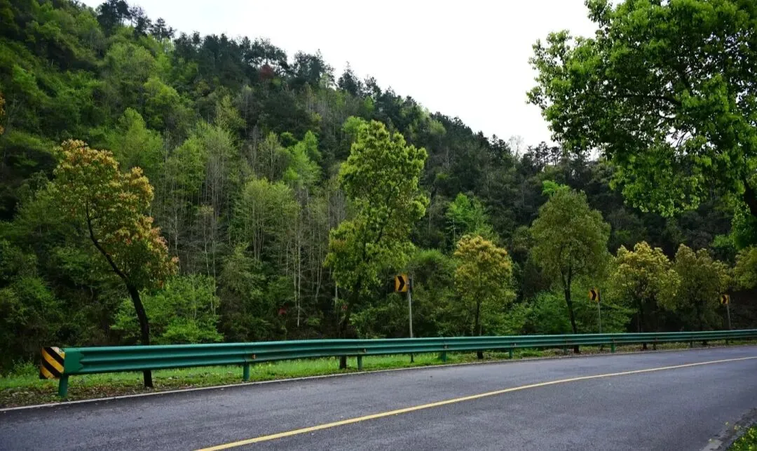江浙沪皖|五一自驾避堵指南:8条神仙路线