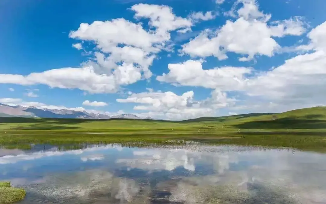 青甘大环线小包团定制服务:省心个性化旅行方案解析