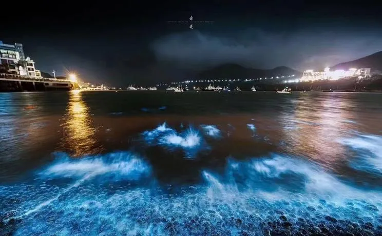 台山岛蓝眼泪两天一夜旅游攻略(荒岛版)