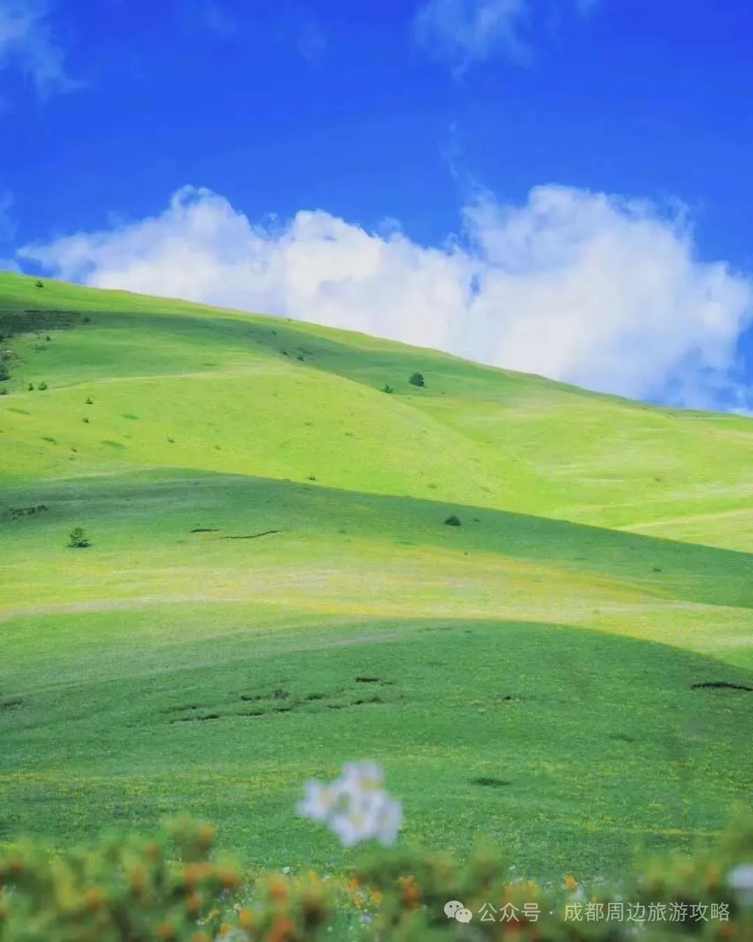 2026年格聂旅游攻略,格聂最佳旅游时间?格聂旅游路线