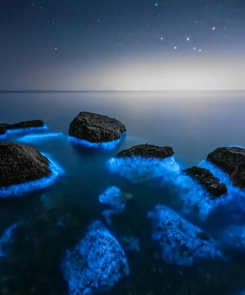 硇洲岛荧光海两天一夜旅游攻略(原生态)