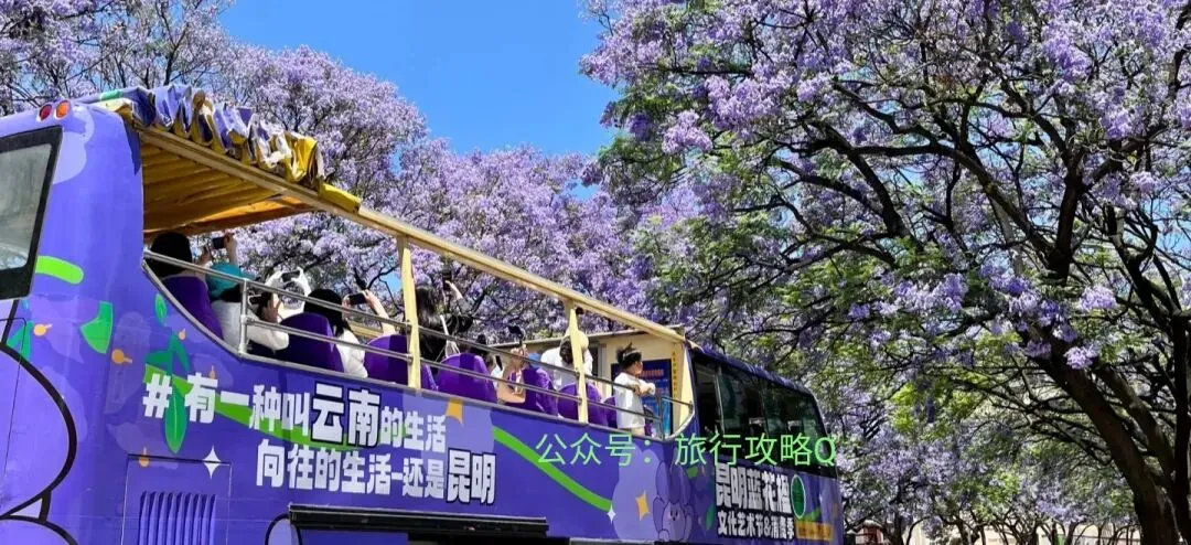 昆明旅游保姆级攻略(附:昆明地铁线路图),值得收藏!