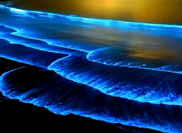 大陈岛蓝眼泪两天一夜旅游攻略(红色版)