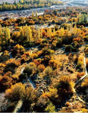 双节同庆·畅游新星 | 这份十三师新星市旅游攻略请收好!