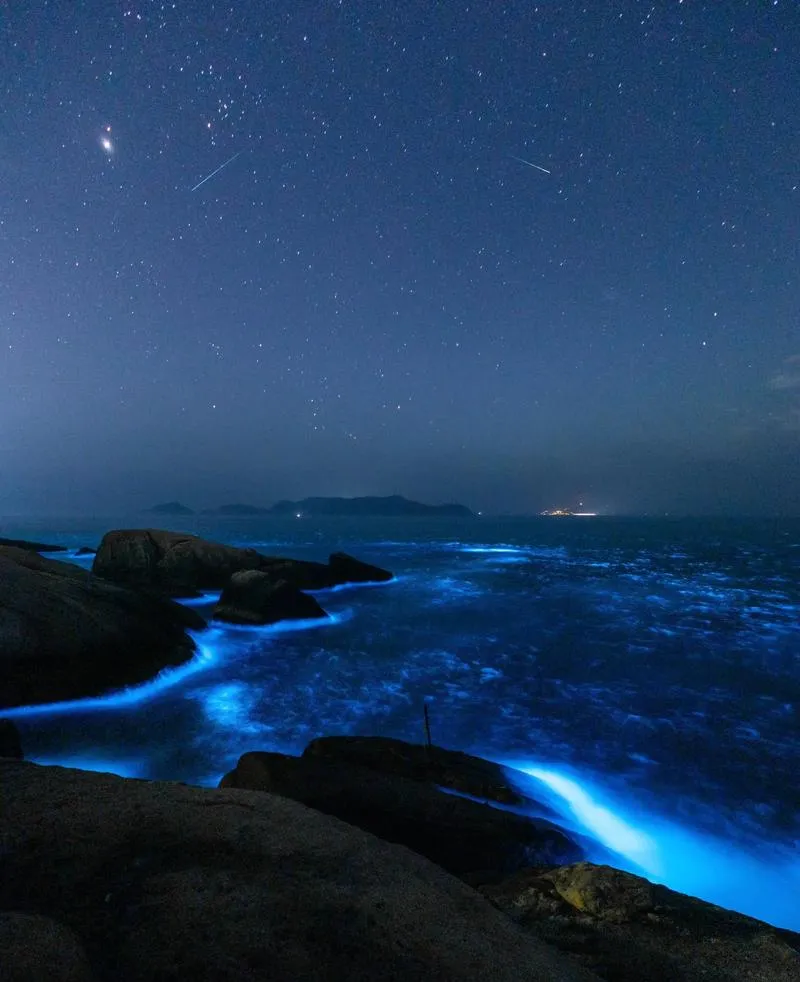 东极岛蓝眼泪两天一夜旅游攻略(全干货)