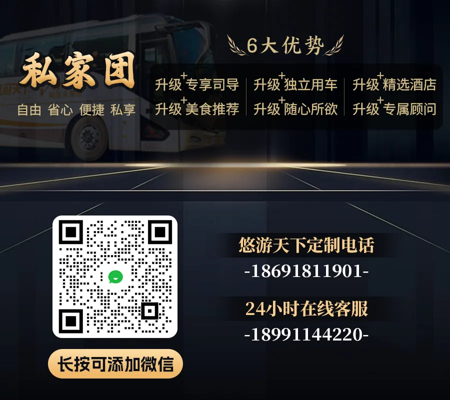 西安旅行摆烂式玩法攻略 私人定制游专治攻略焦虑 告别跟团不自由专车接送纯玩无购物一对一规划省心畅游西安