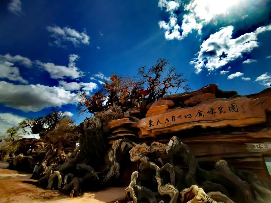 旅游路线已经为您规划好,赶快来看看吧~