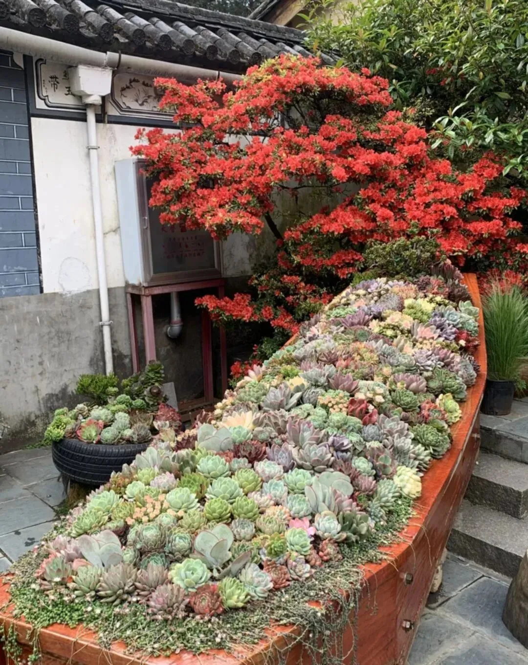 大理旅游寂照庵半日游玩攻略很值得去