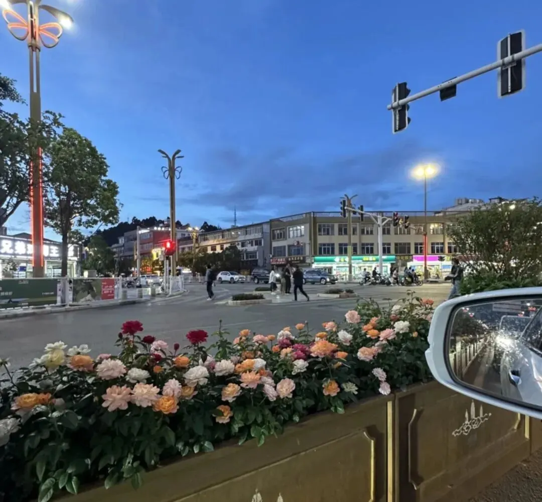 大理旅游攻略分享