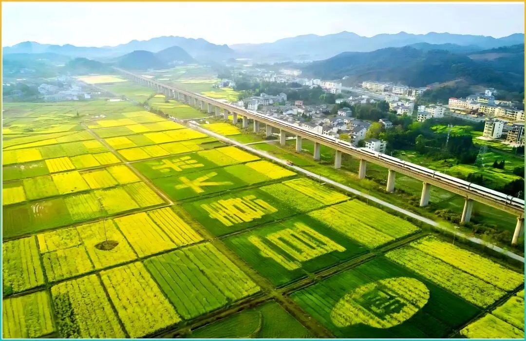 4月自驾游必推!江浙沪周边7条绝美路线,看遍高山茶园和瀑布,赶紧出发!