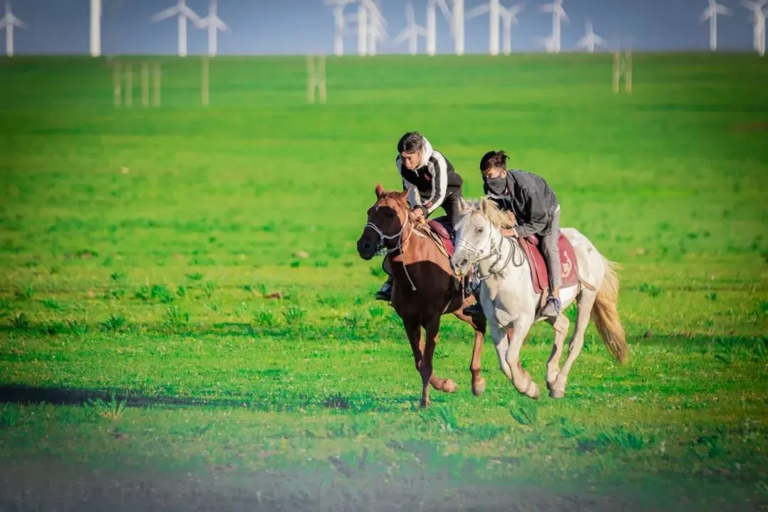呼和浩特5月旅游攻略:草原初绿,塞上江南正当时