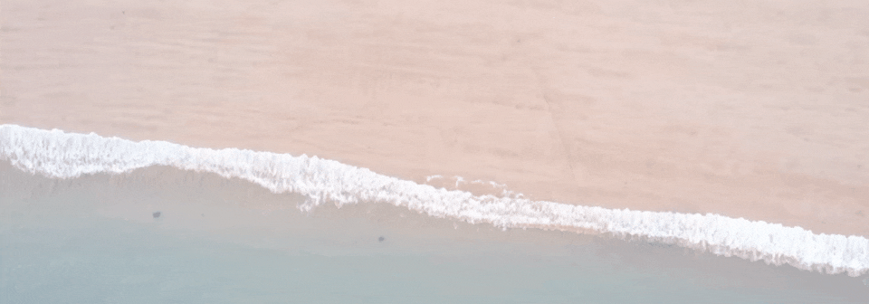 跟着微综去旅行|董子健、刘昊然雨夜“追泪”,花鸟岛荧光海浪漫预警!(附追泪)