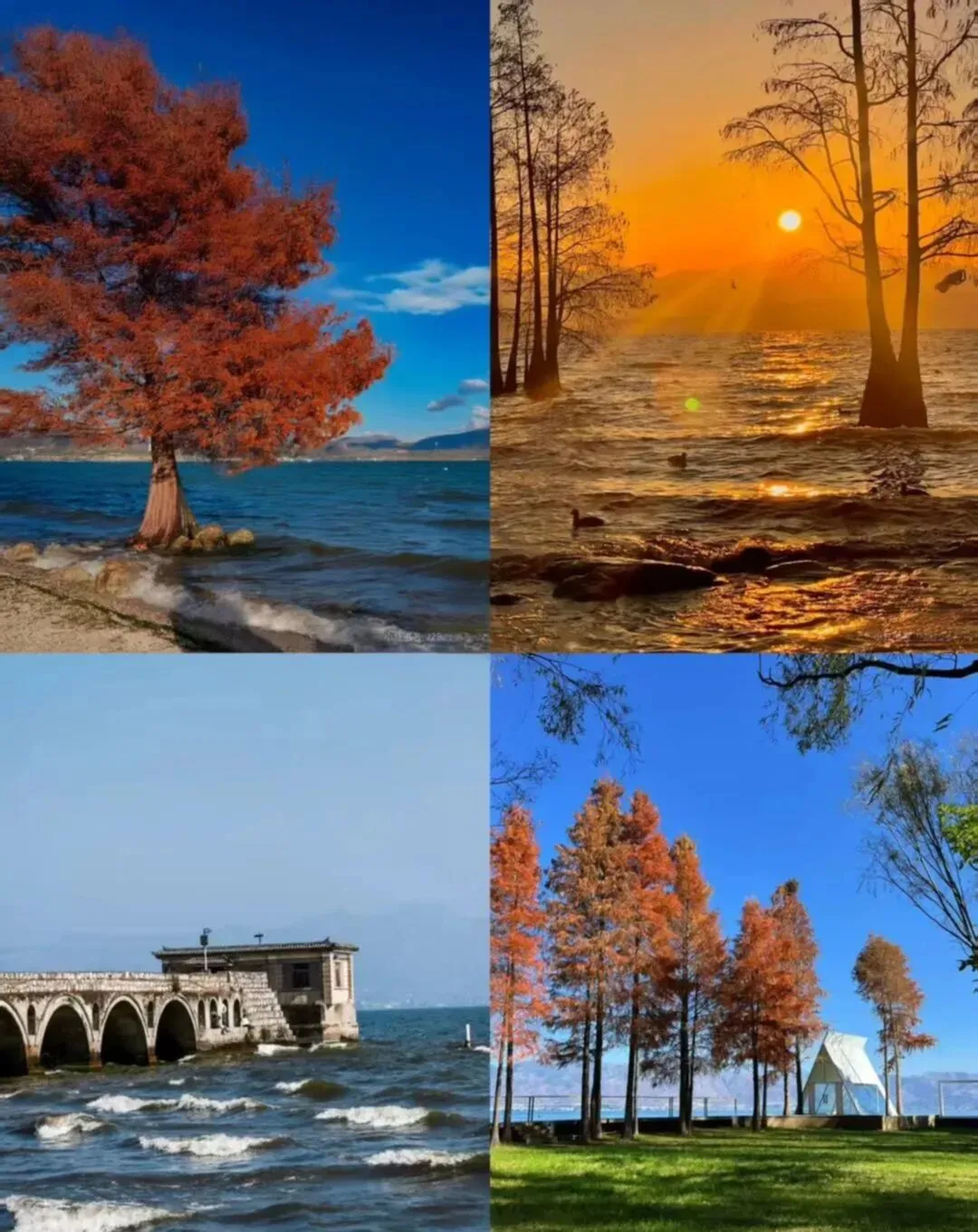 答应我国庆去大理旅游一定要先看这份攻略