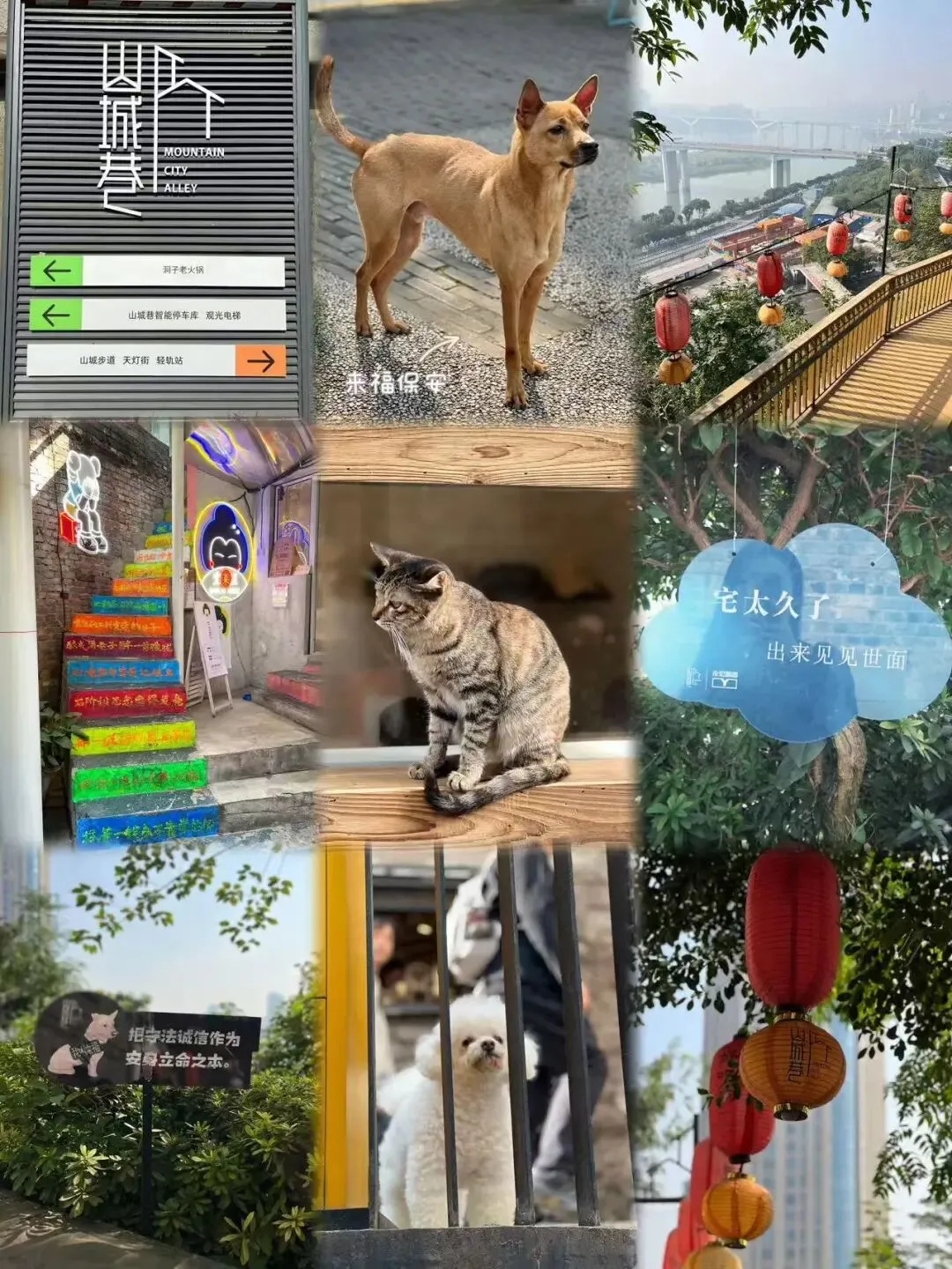 终于有人把重庆旅游攻略讲清楚了!!重庆本地人整理 全是避坑大实话!(2026.5)