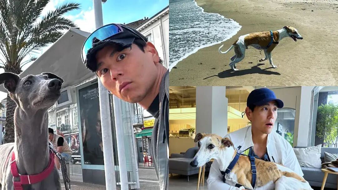 彭于晏同款巴黎私藏l旅行攻略,走进本地人的真实日常