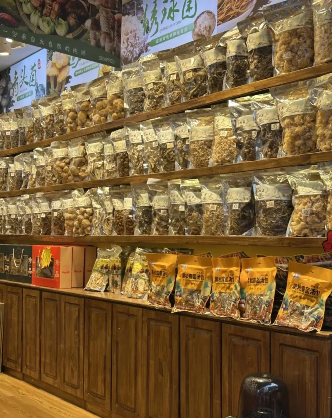 大理旅游攻略洱海篇