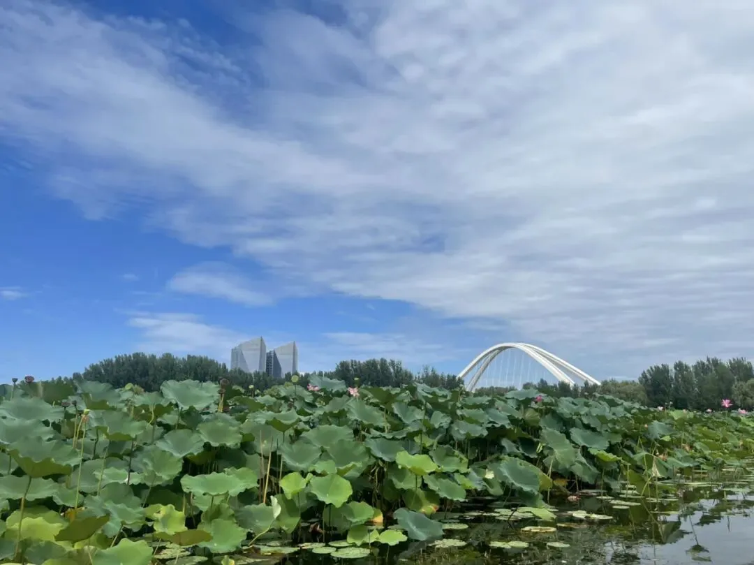 五一北京旅游攻略|5天4晚省心版,人再多也能玩明白