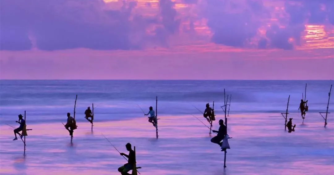 「2026斯里兰卡定制旅行计划」网球时光+大象孤儿院+海边小火车,承包一周热带浪漫!