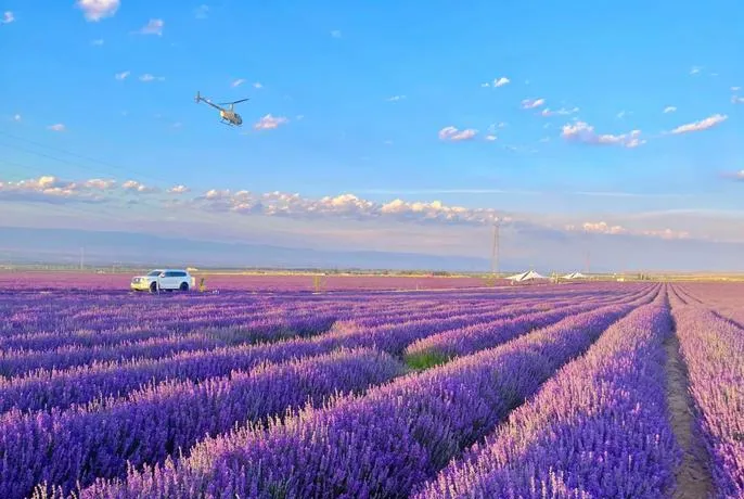 6、7月新疆伊犁自驾游避坑不踩雷,景点路线美食一篇解决!