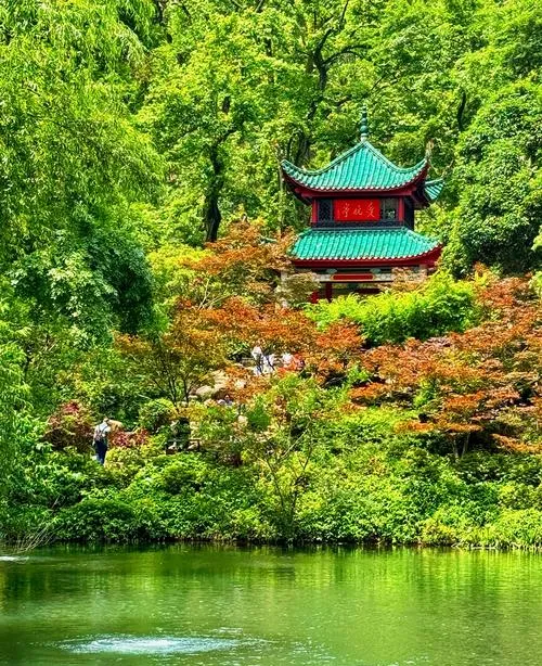 登高许愿+空中绕桥!长沙岳麓山保姆级游玩攻略,串联岳麓寺、土地庙与环山玻璃桥