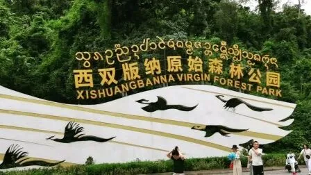 西双版纳5日沉浸式游玩攻略|奔赴热带秘境,赴一场雨林与烟火之约