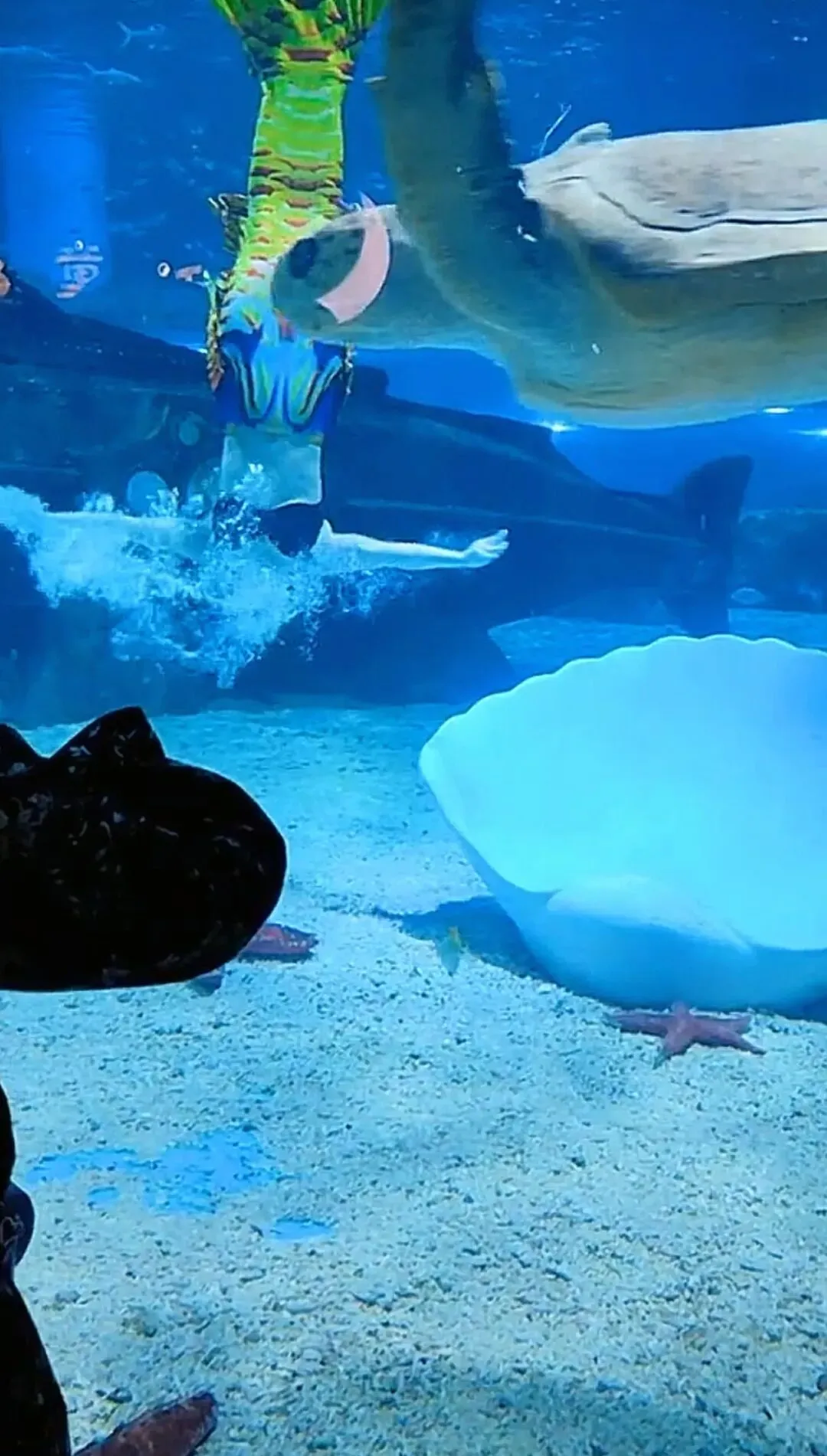 粉丝点名安排!天津滨海新区超全游玩攻略|塘沽+生态城+海边,一篇逛明白