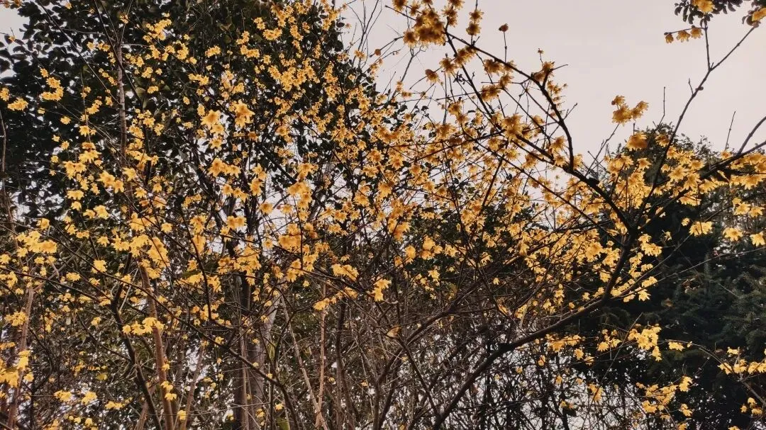 最新出游指南 |2020年走红的城市,你种草了哪个宝藏旅行地?