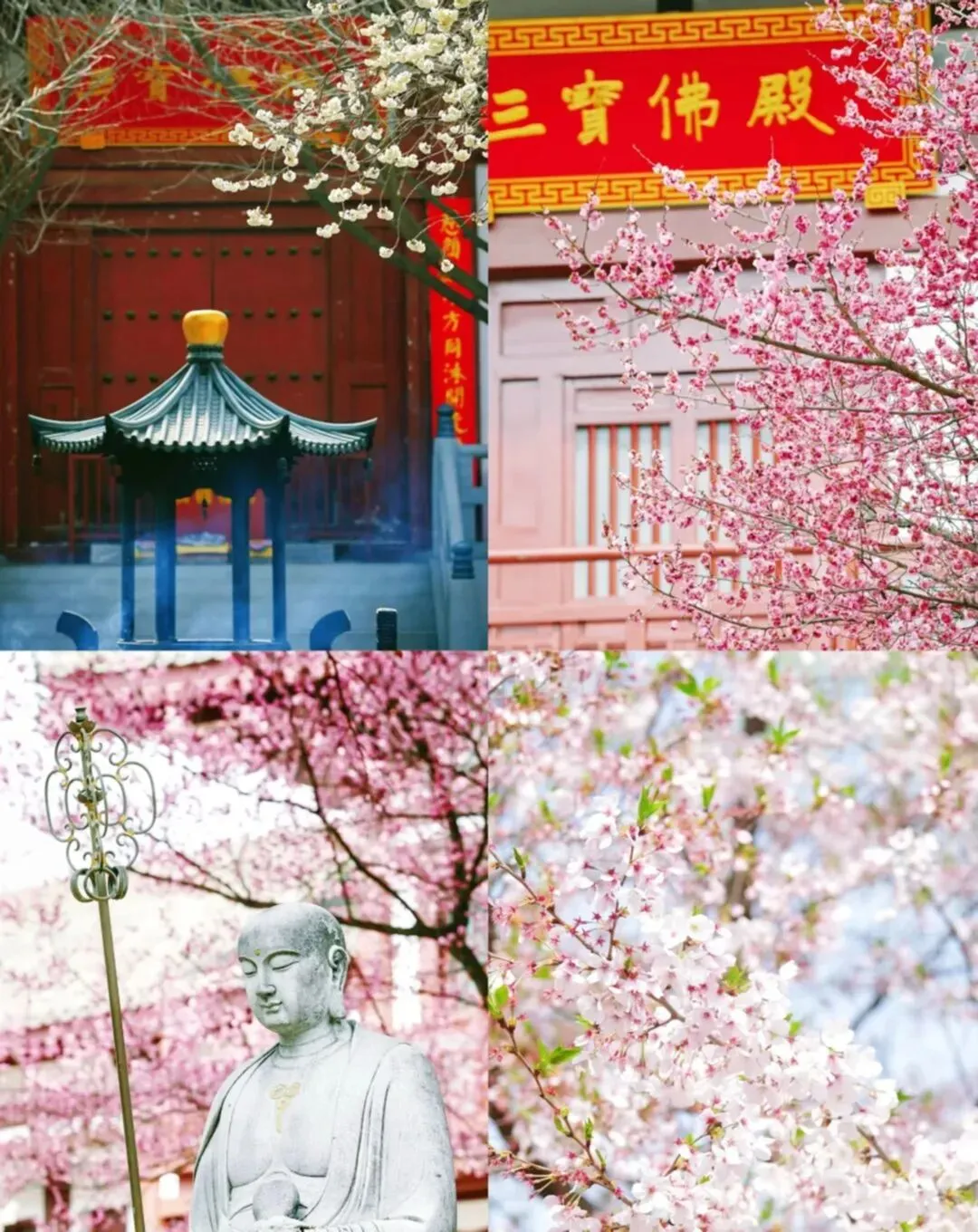 西安春季旅游攻略|2天1夜逛吃不踩雷!