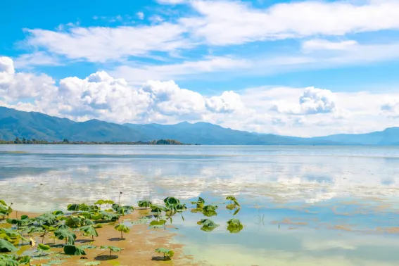 超治愈旅游胜地逃离城市喧嚣攻略