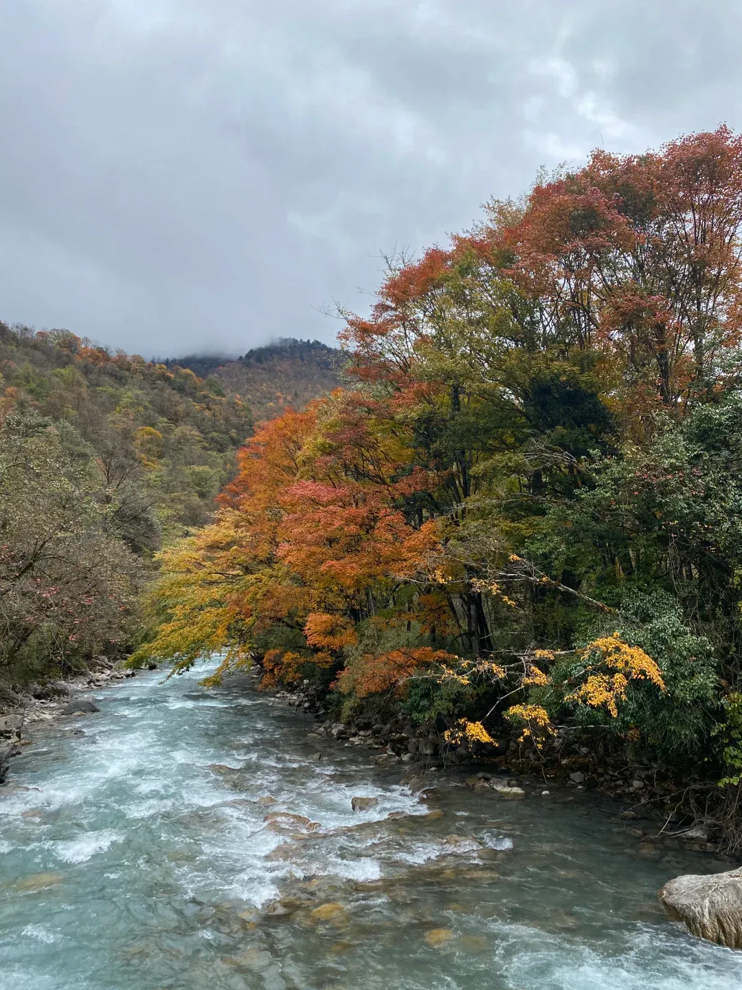 中国最美4条自驾路线,一生总得开一次,今年就规划起来!