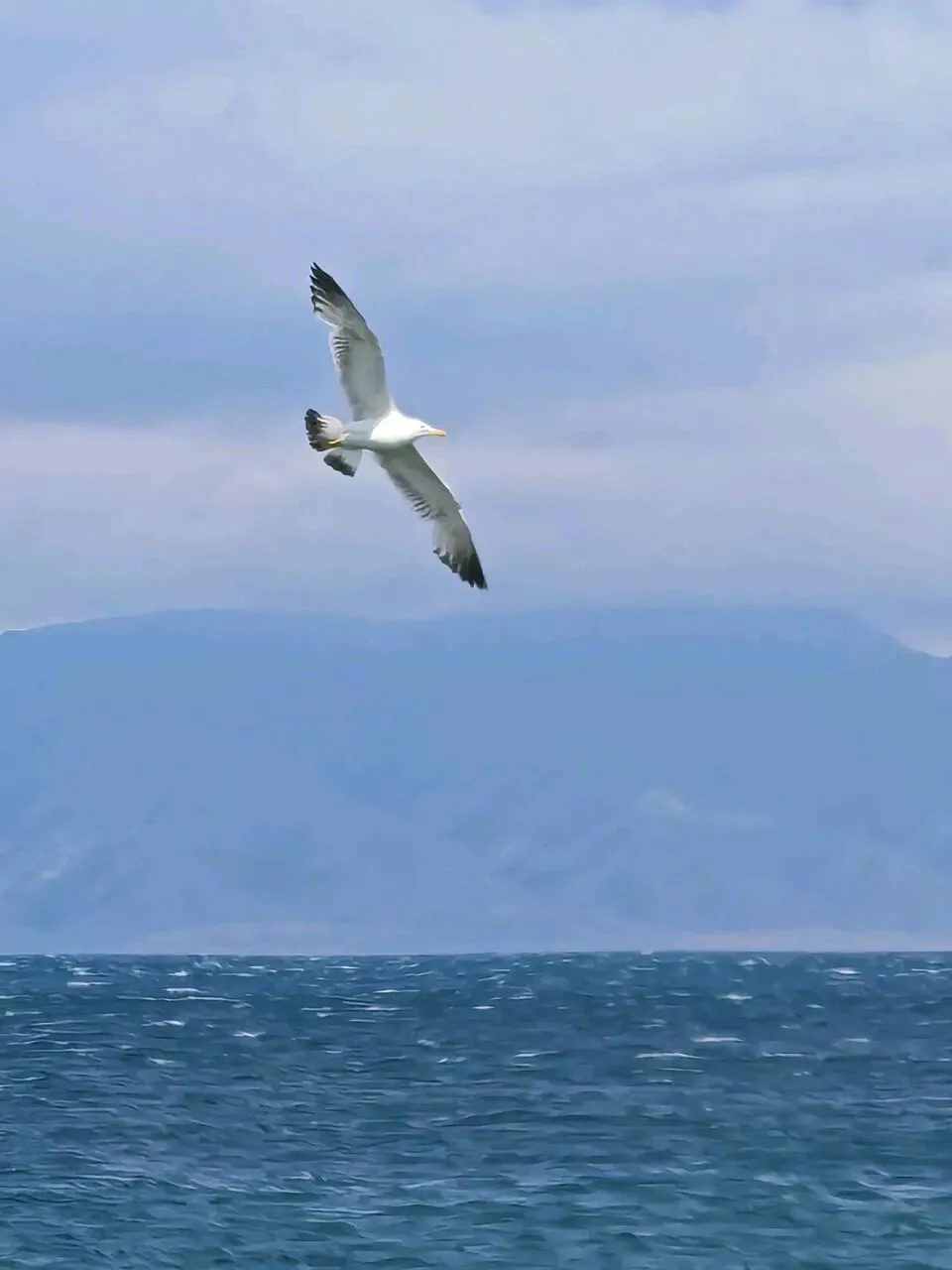 新疆旅游全攻略|从北疆到南疆,这一篇就够了!