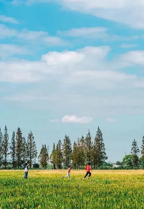 咪咪到家春天 | 春游 | 旅行 | 上门 | 按摩 | 游玩 | 攻略